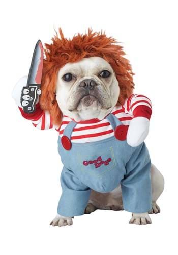 Pirate - Inspired Pet Costumes for Halloween - Petmosphere