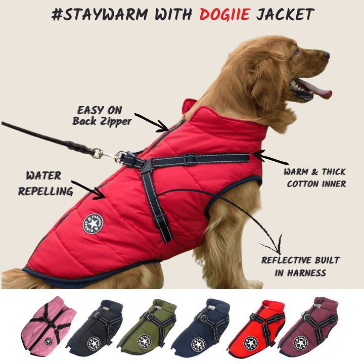 Reflective Thickened Dog Padded Coat for Winter - Petmosphere