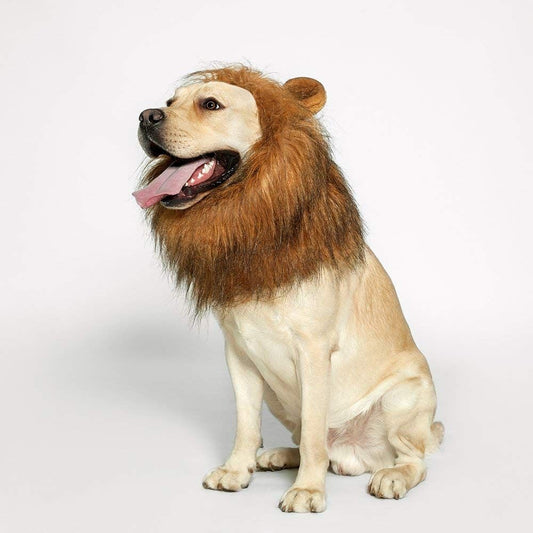 Lion Mane Wig