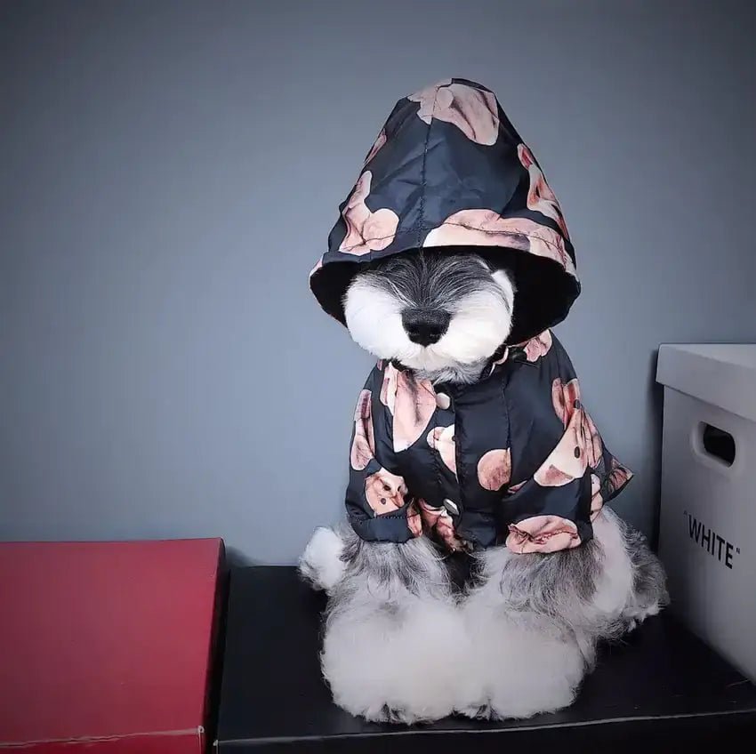 Chic Puppy Autumn Raincoat - Petmosphere
