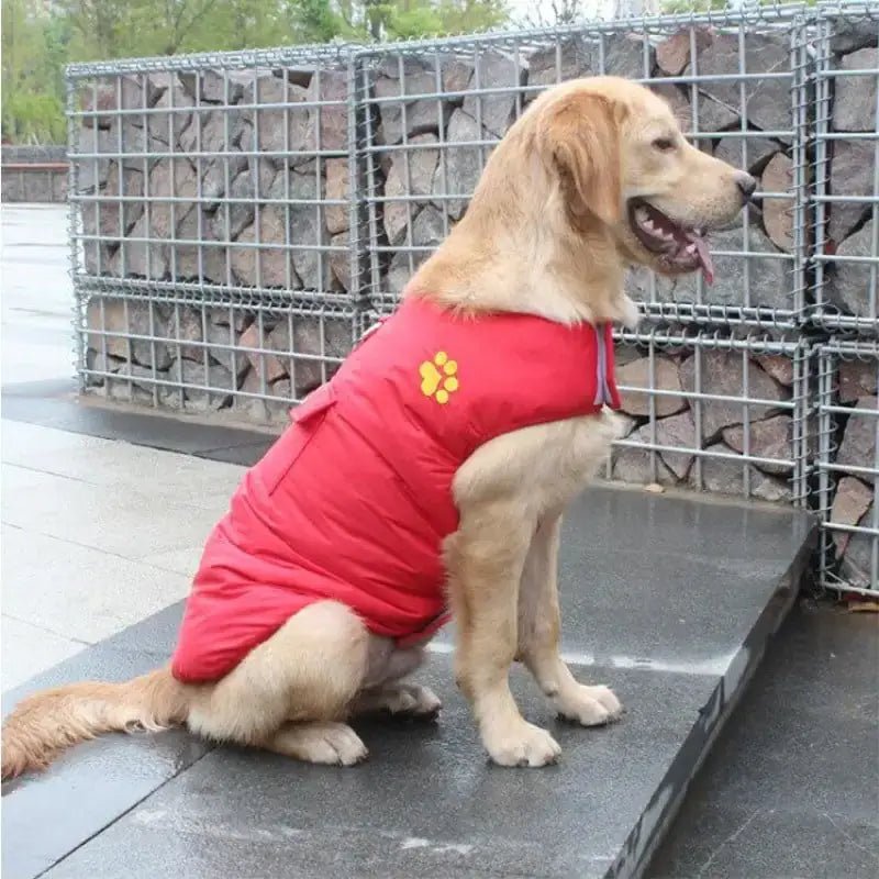Chic Winter Dog Jacket - Petmosphere