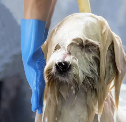 FurMaster Grooming Mitts - Petmosphere