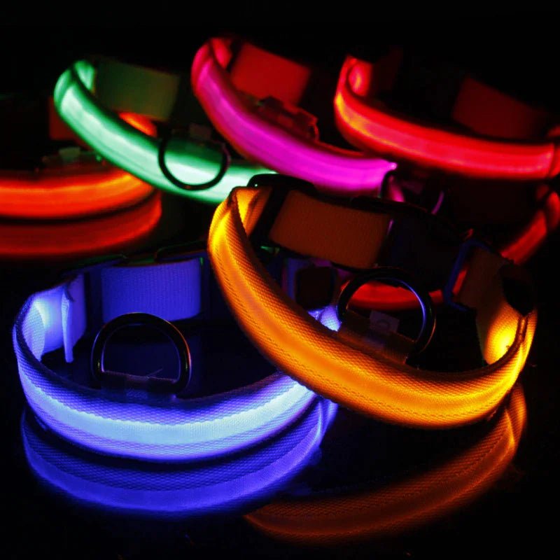 LED Adjustable Dog Collar Blinking Flashing Light Up Glow Pets Safety Waterproof - Petmosphere