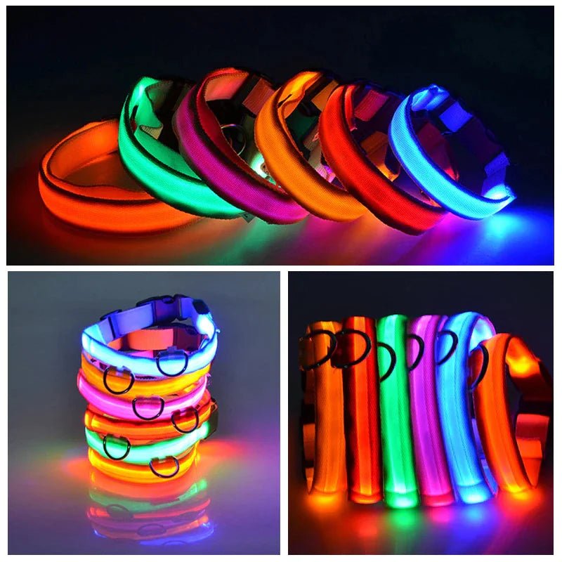 LED Adjustable Dog Collar Blinking Flashing Light Up Glow Pets Safety Waterproof - Petmosphere