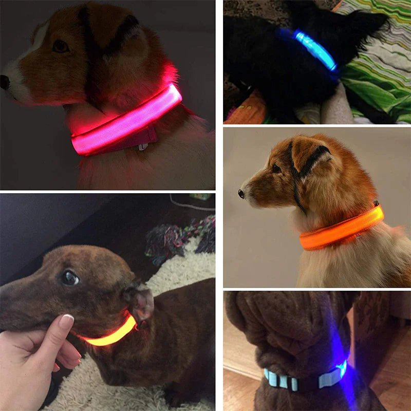 LED Adjustable Dog Collar Blinking Flashing Light Up Glow Pets Safety Waterproof - Petmosphere