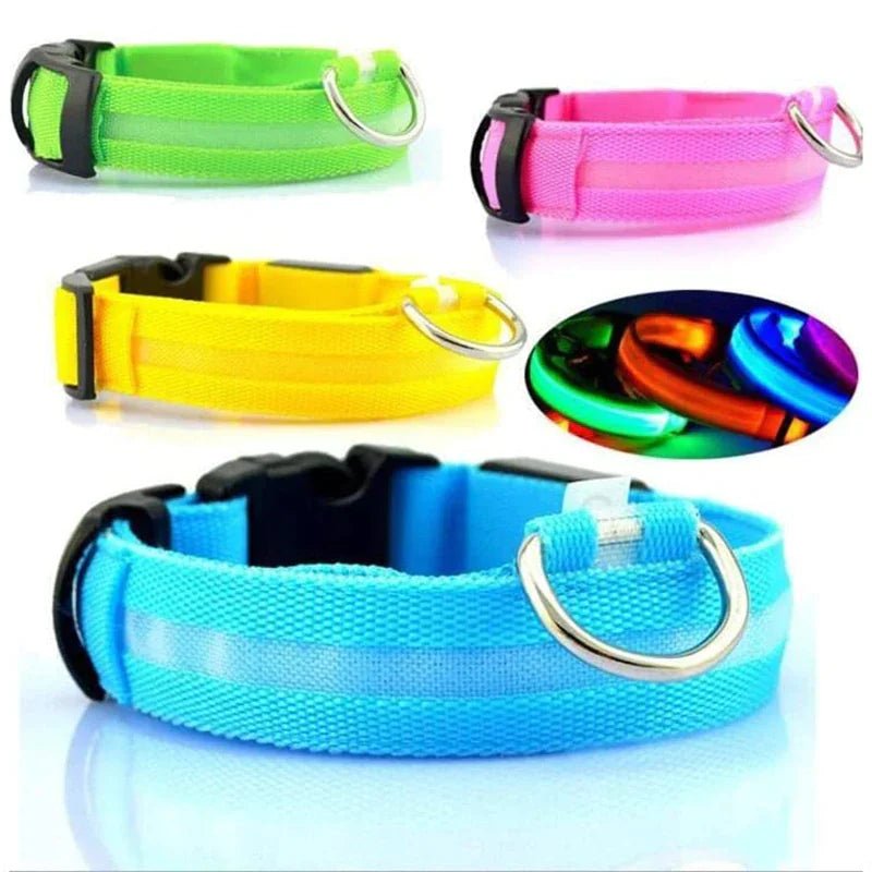 LED Adjustable Dog Collar Blinking Flashing Light Up Glow Pets Safety Waterproof - Petmosphere