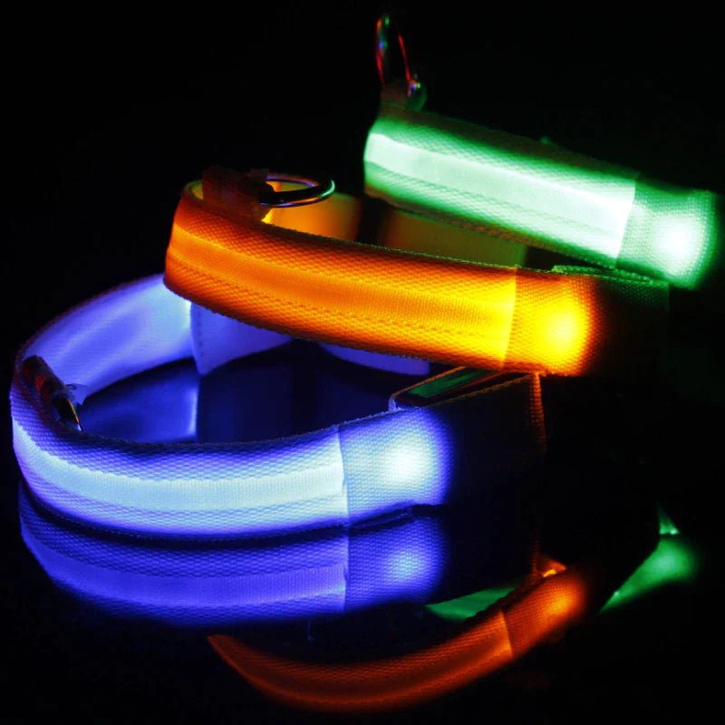 LED Adjustable Dog Collar Blinking Flashing Light Up Glow Pets Safety Waterproof - Petmosphere