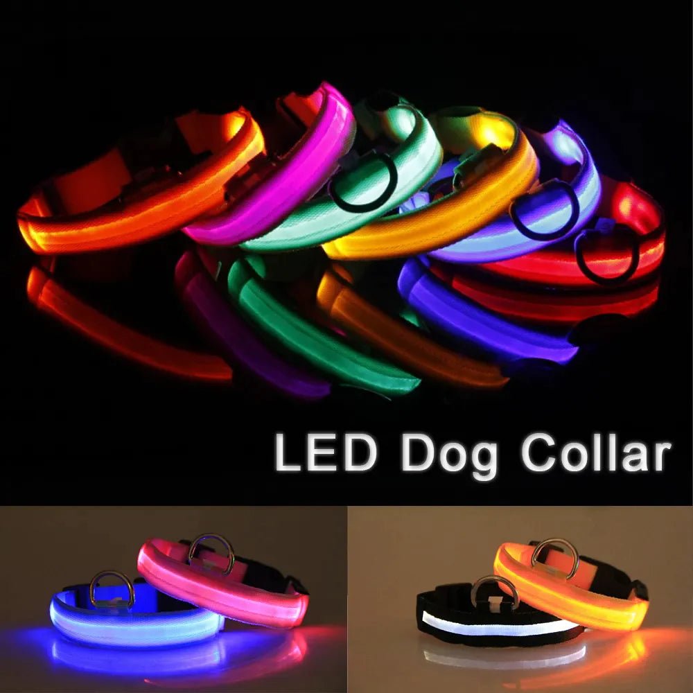 LED Adjustable Dog Collar Blinking Flashing Light Up Glow Pets Safety Waterproof - Petmosphere