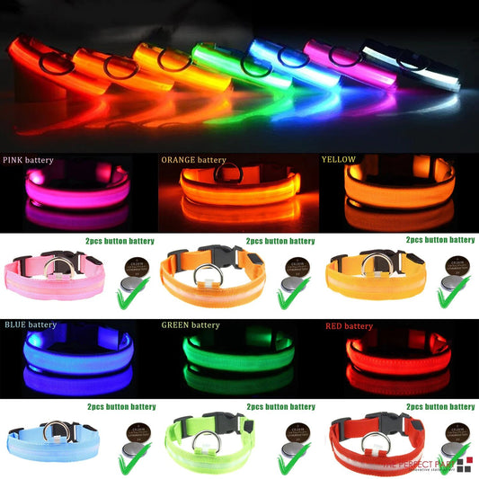 LED Adjustable Dog Collar Blinking Flashing Light Up Glow Pets Safety Waterproof - Petmosphere
