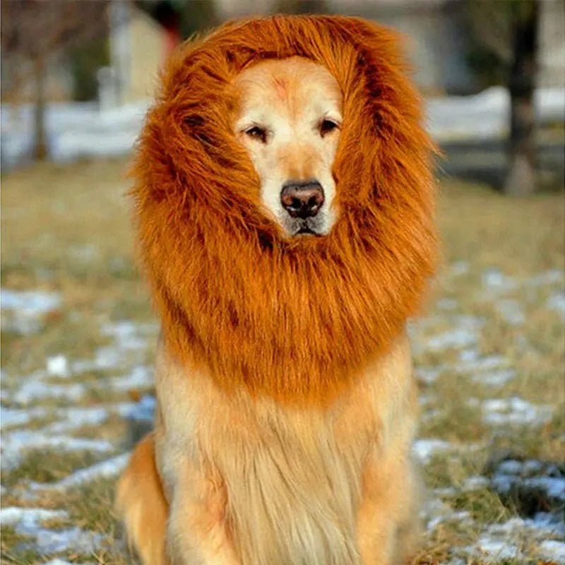 Lion Mane Dog Wig - Petmosphere