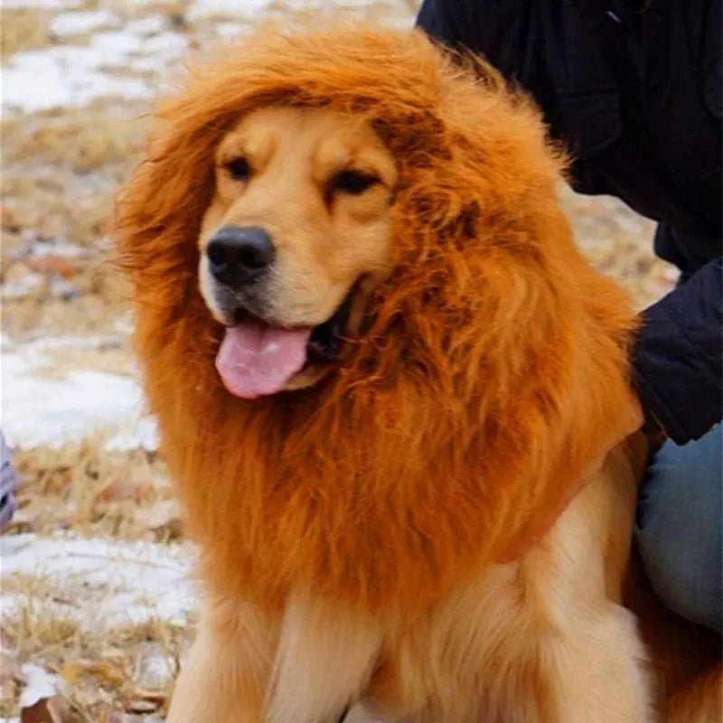 Lion Mane Dog Wig - Petmosphere