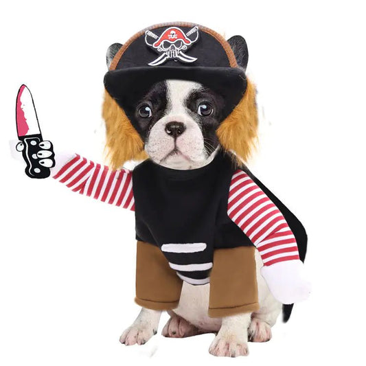Pirate - Inspired Pet Costumes for Halloween - Petmosphere