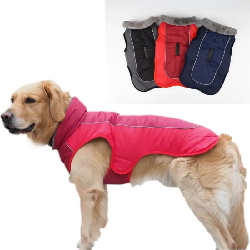 Reflective Thickened Dog Padded Coat for Winter - Petmosphere