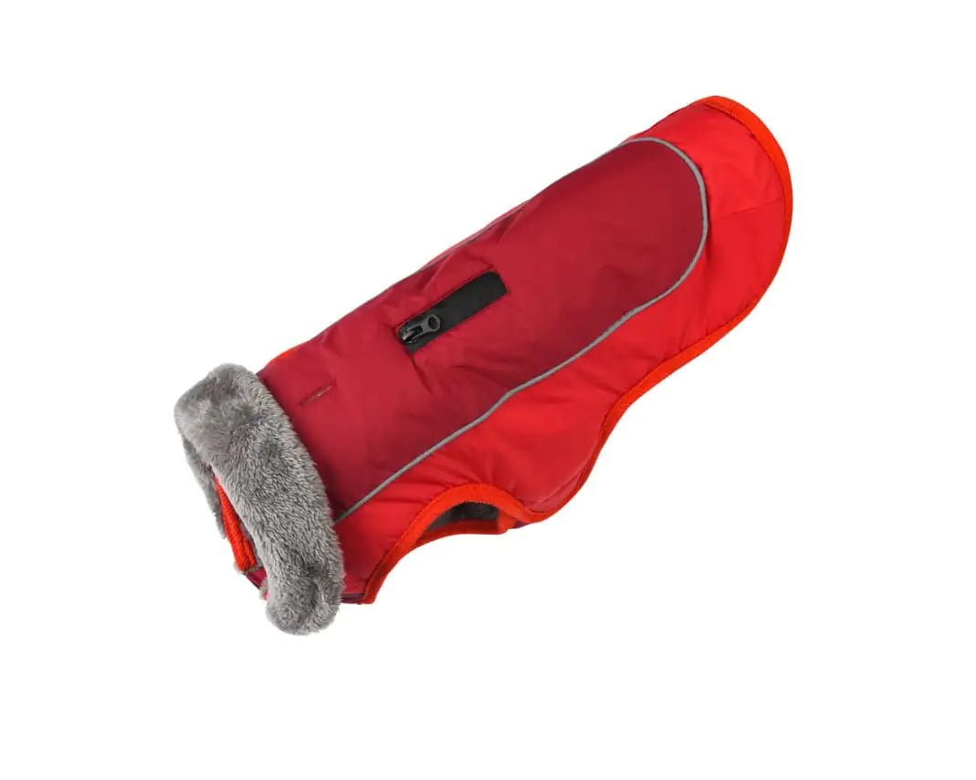 Reflective Thickened Dog Padded Coat for Winter - Petmosphere